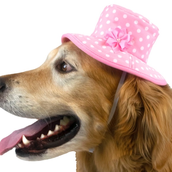 Vibrant Life Dog Hat Bucket Style - Size M/L - Picture 5 of 7